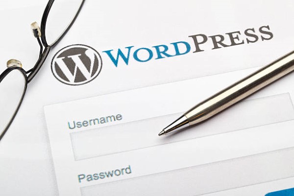 1.SEO en WordPress; imagen de la pagina de word press