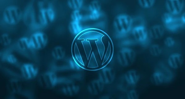 2.SEO en WordPress;logo de color azul de word press 